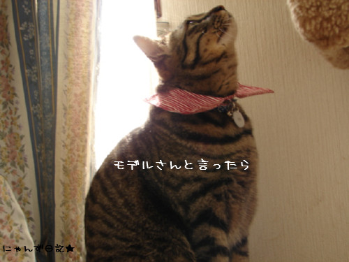 名札のススメ_d0355333_14082848.jpg