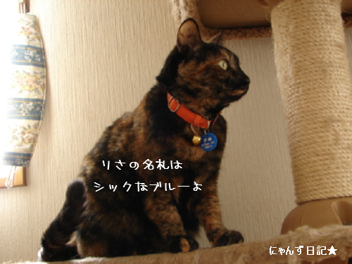 名札のススメ_d0355333_14082875.jpg