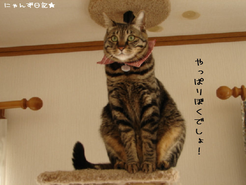 名札のススメ_d0355333_14082936.jpg
