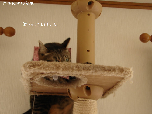名札のススメ_d0355333_14082984.jpg