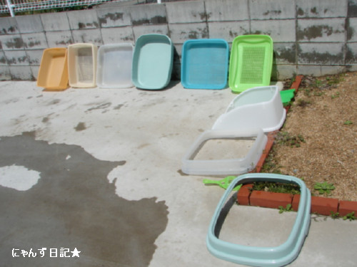 トイレ掃除のススメ_d0355333_14083035.jpg