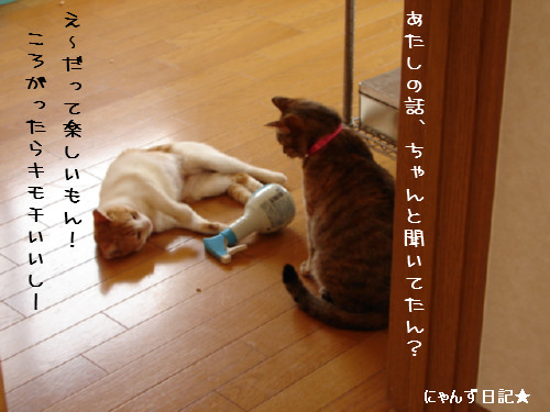 怖いものなし?_d0355333_14085572.jpg
