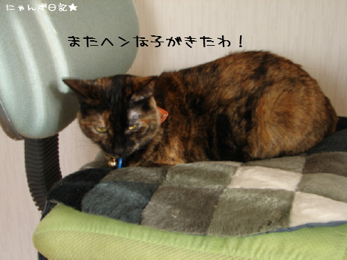 怖いものなし?_d0355333_14085667.jpg