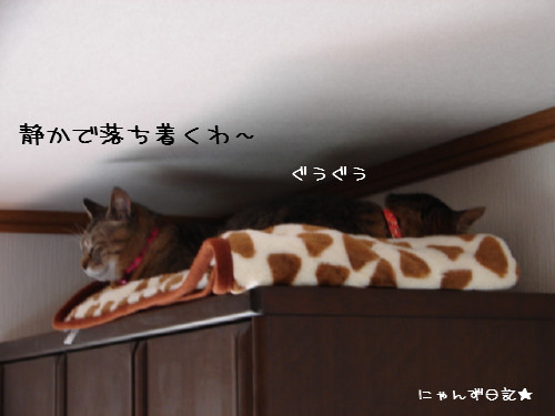 その時。。_d0355333_14090034.jpg