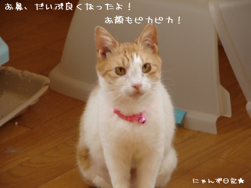 りりちゃん病院_d0355333_14090181.jpg