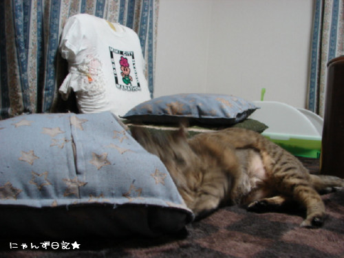アホアホコンビ_d0355333_14090259.jpg