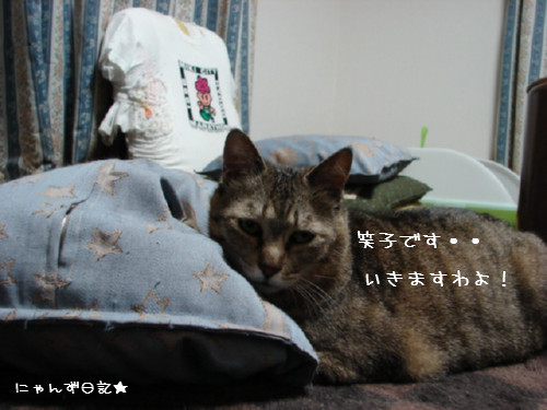 アホアホコンビ_d0355333_14090290.jpg
