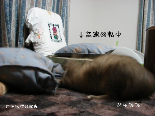 アホアホコンビ_d0355333_14090362.jpg