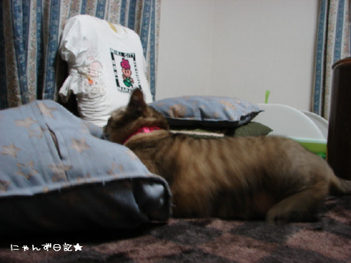 アホアホコンビ_d0355333_14090374.jpg