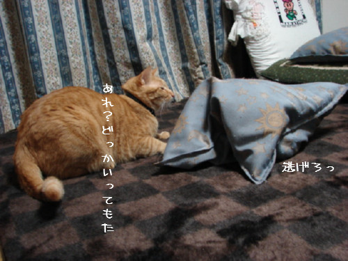 アホアホコンビ_d0355333_14090407.jpg