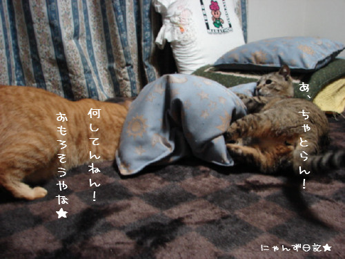 アホアホコンビ_d0355333_14090408.jpg