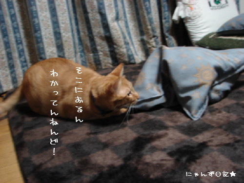 アホアホコンビ_d0355333_14090430.jpg