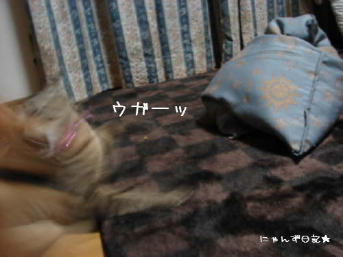 アホアホコンビ_d0355333_14090505.jpg