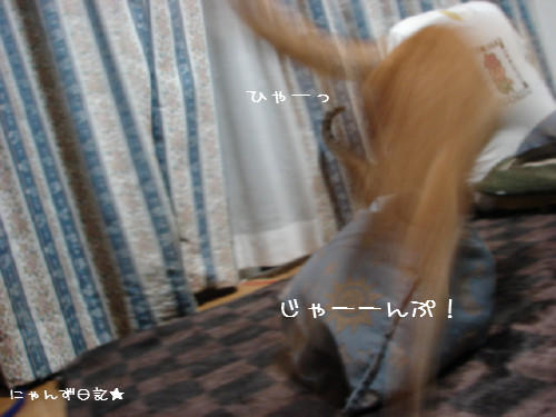 アホアホコンビ_d0355333_14090557.jpg