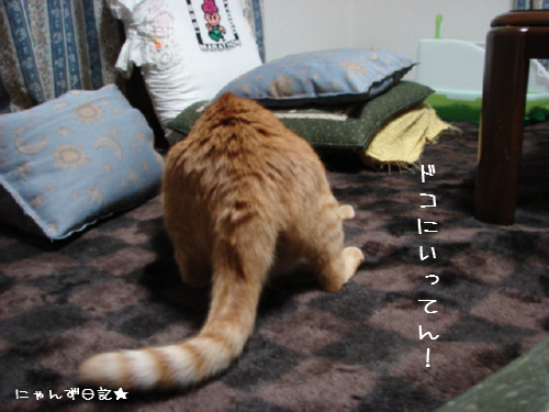 アホアホコンビ_d0355333_14090698.jpg