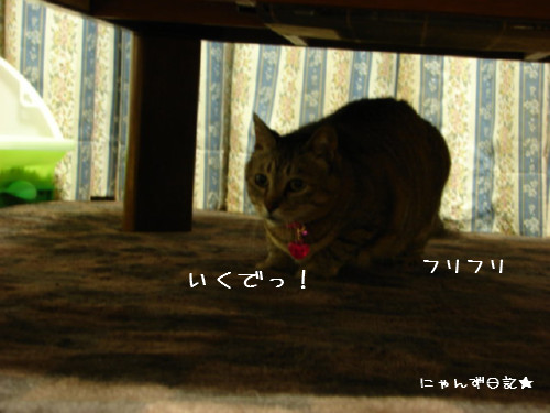 アホアホコンビ_d0355333_14090721.jpg