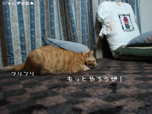アホアホコンビ_d0355333_14090799.jpg