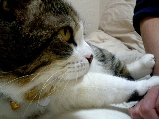スコ★ゆうた_d0355333_14090806.jpg