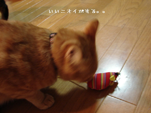 おもちゃに夢中!_d0355333_14091016.jpg