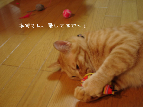 おもちゃに夢中!_d0355333_14091057.jpg