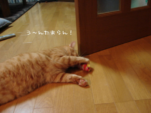 おもちゃに夢中!_d0355333_14091070.jpg