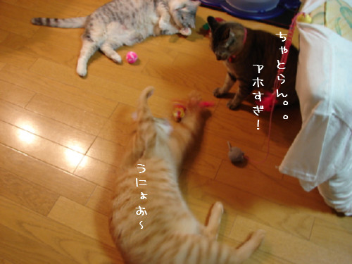 おもちゃに夢中!_d0355333_14091121.jpg