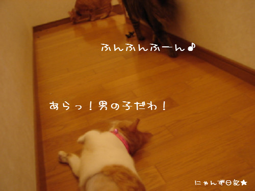 ぜんまい巻き過ぎ_d0355333_14091618.jpg