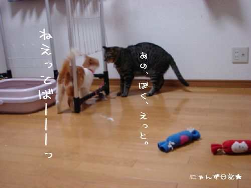 ぜんまい巻き過ぎ_d0355333_14091725.jpg