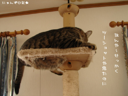 大丈夫かな?_d0355333_14092202.jpg