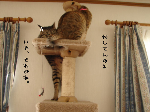 大丈夫かな?_d0355333_14092209.jpg