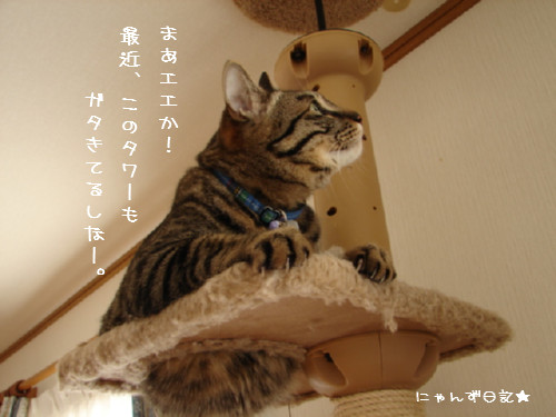 大丈夫かな?_d0355333_14092220.jpg
