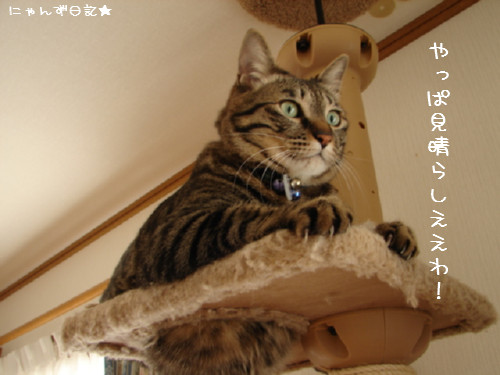 大丈夫かな?_d0355333_14092243.jpg
