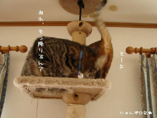 大丈夫かな?_d0355333_14092277.jpg
