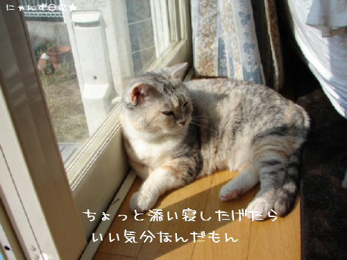 添い寝_d0355333_14092673.jpg