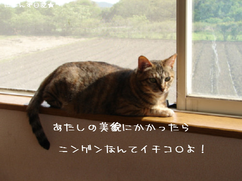 添い寝_d0355333_14092727.jpg
