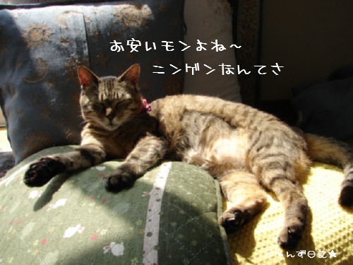 添い寝_d0355333_14092774.jpg