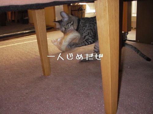 やえちゃんマリオを目指す?の巻_d0355333_14093171.jpg