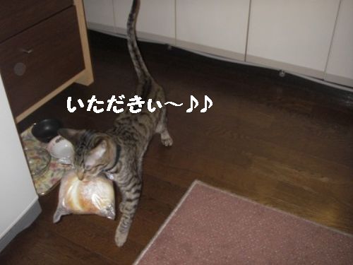 やえちゃんマリオを目指す?の巻_d0355333_14093183.jpg