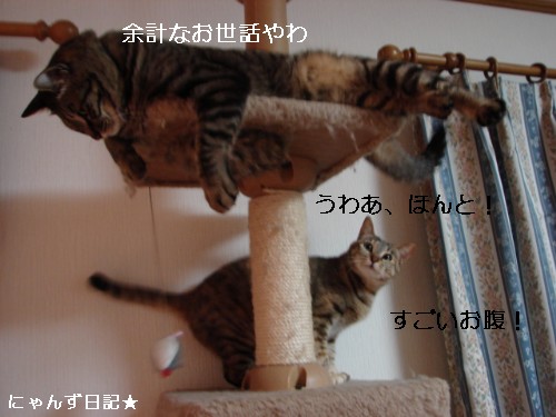 穴からお腹_d0355333_14093522.jpg