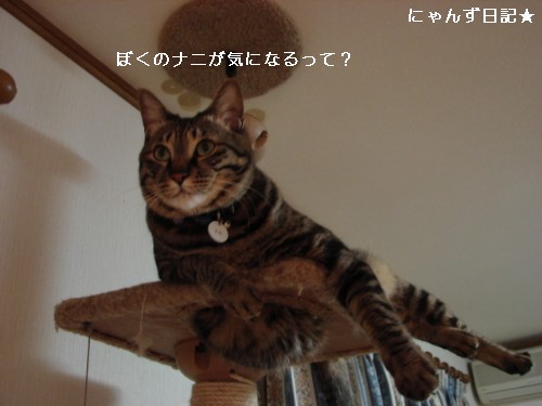 穴からお腹_d0355333_14093583.jpg
