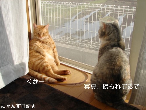 皆さんの期待は。。_d0355333_14093751.jpg