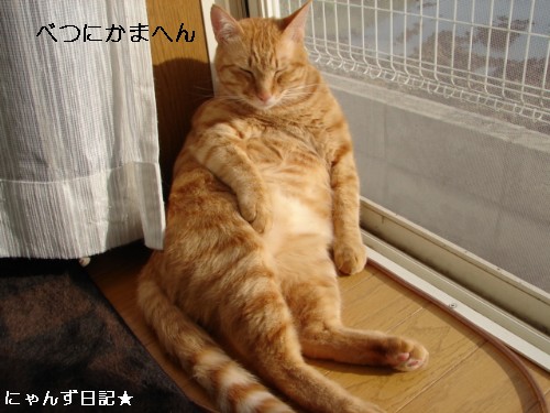 皆さんの期待は。。_d0355333_14093796.jpg