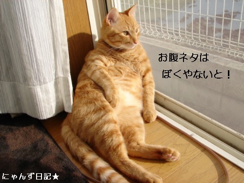 皆さんの期待は。。_d0355333_14093805.jpg