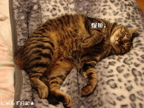 皆さんの期待は。。_d0355333_14093848.jpg