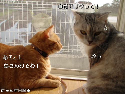 皆さんの期待は。。_d0355333_14093892.jpg