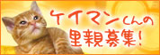 ケイマンくんの里親さん募集開始!_d0355333_14093984.jpg