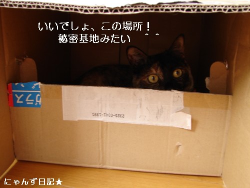 なごみ系・・?_d0355333_14093995.jpg