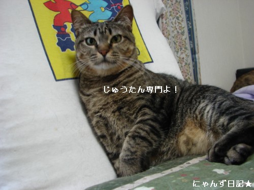 犯にゃんは誰だ★ゲロゲロシスターズ編_d0355333_14094146.jpg