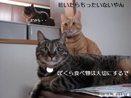 犯にゃんは誰だ★ゲロゲロシスターズ編_d0355333_14094148.jpg