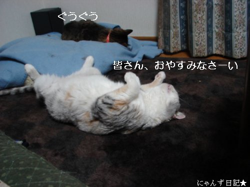 お疲れサン_d0355333_14094280.jpg